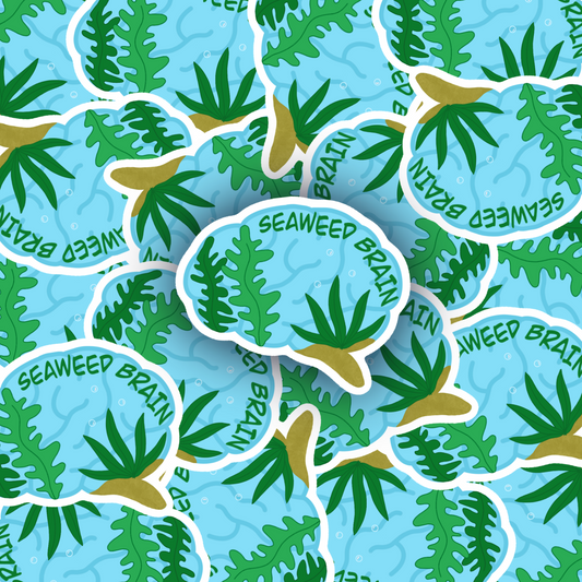 Seaweed Brain Sticker