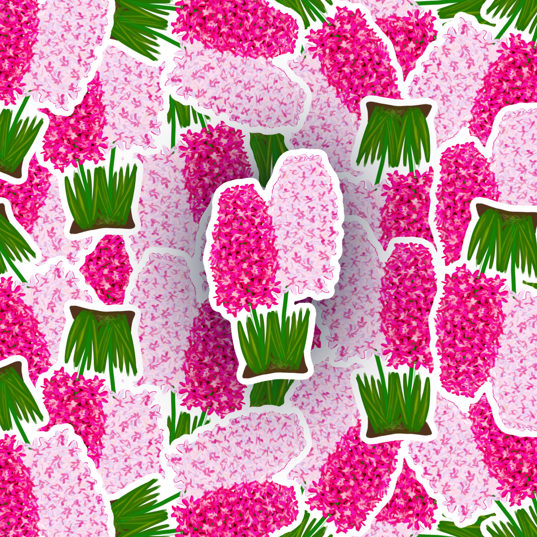 Pink Hyacinths Sticker